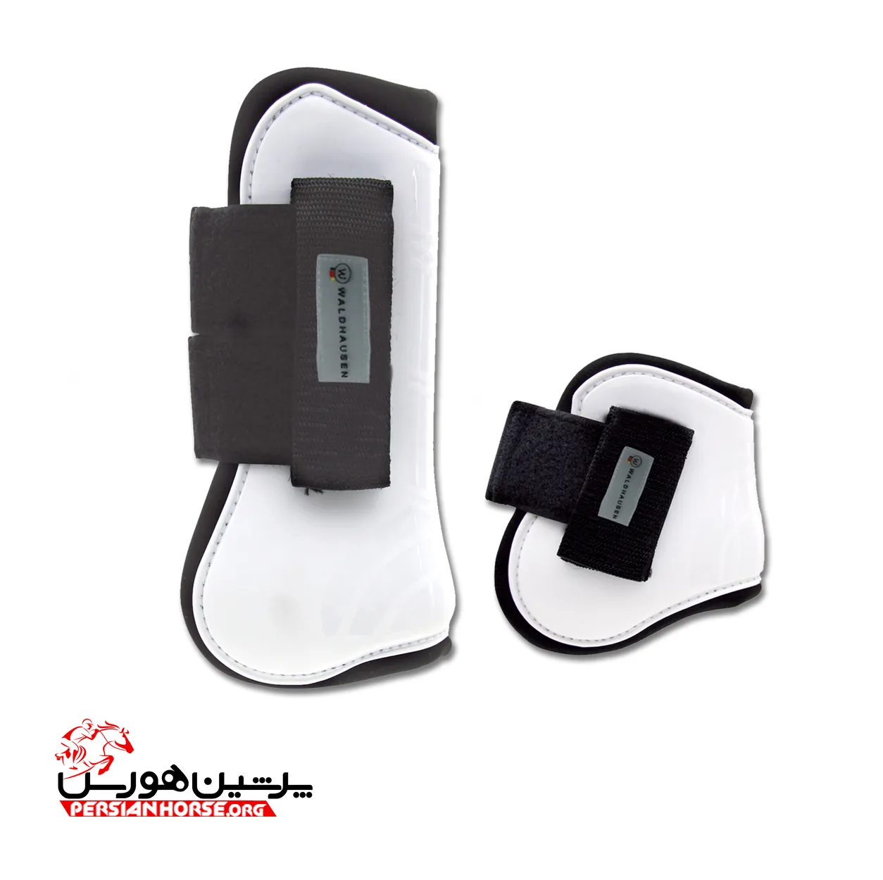 تاندوم بند چهار دست و پا