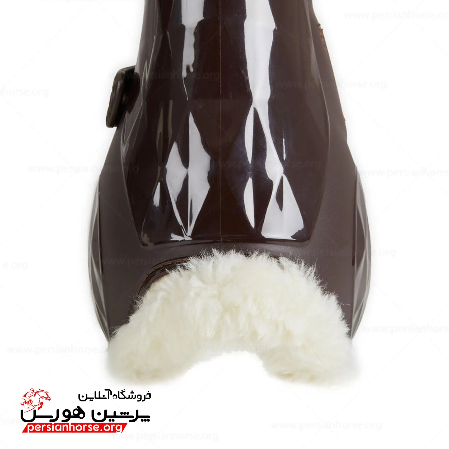 تاندون-بند-فوگانزا5