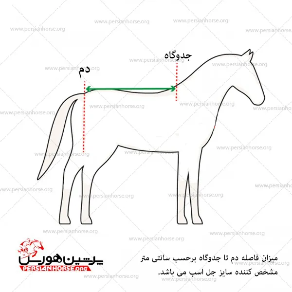 جل زمستانه پیتکو مدل ژیوان