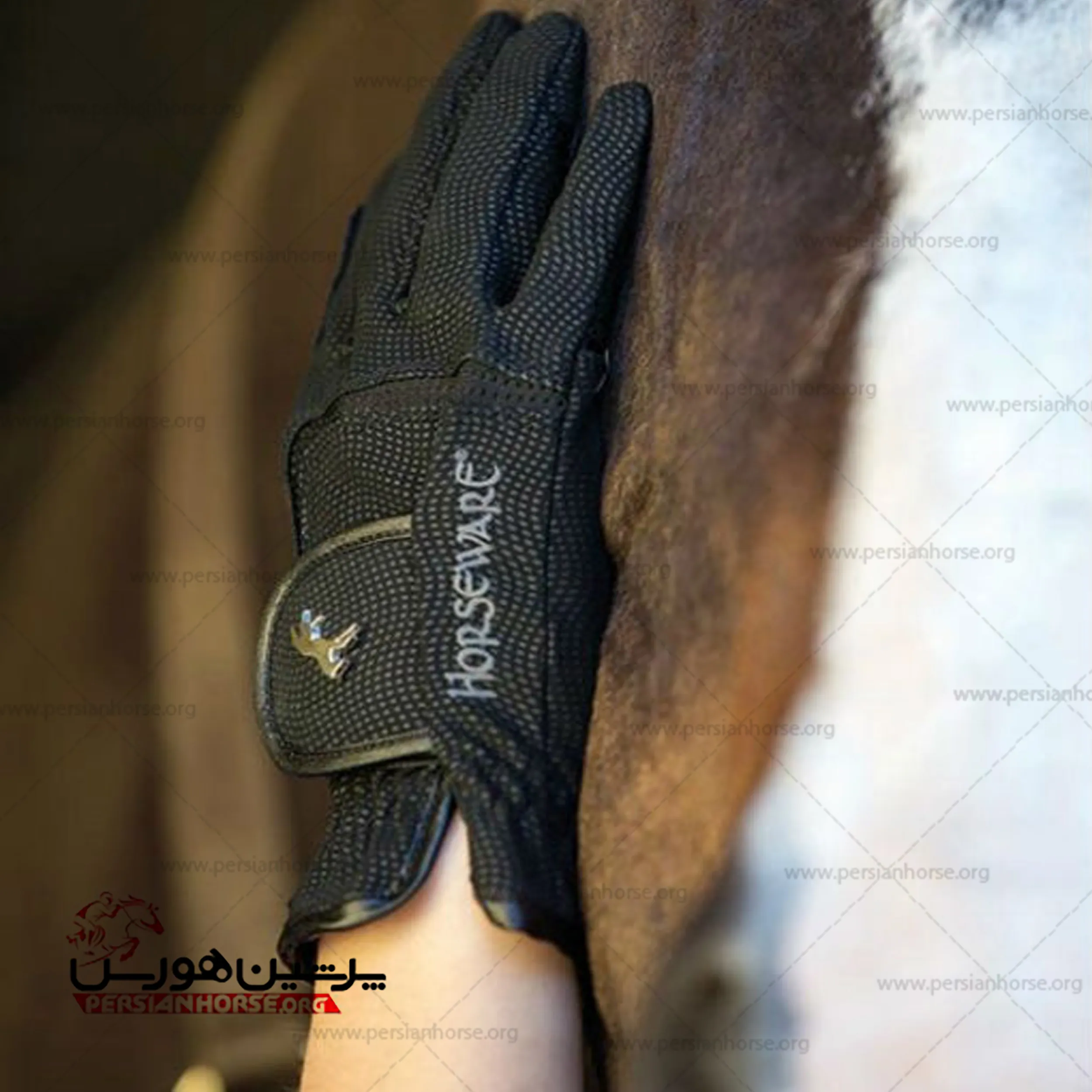 خرید دستکش سوارکاری