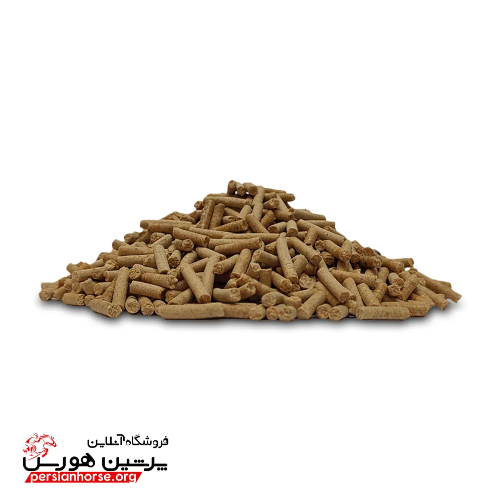 رایمون-استار-ایکس1