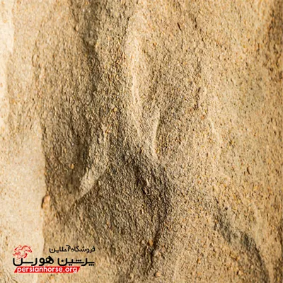 رایمون-گرو-ایکس+1