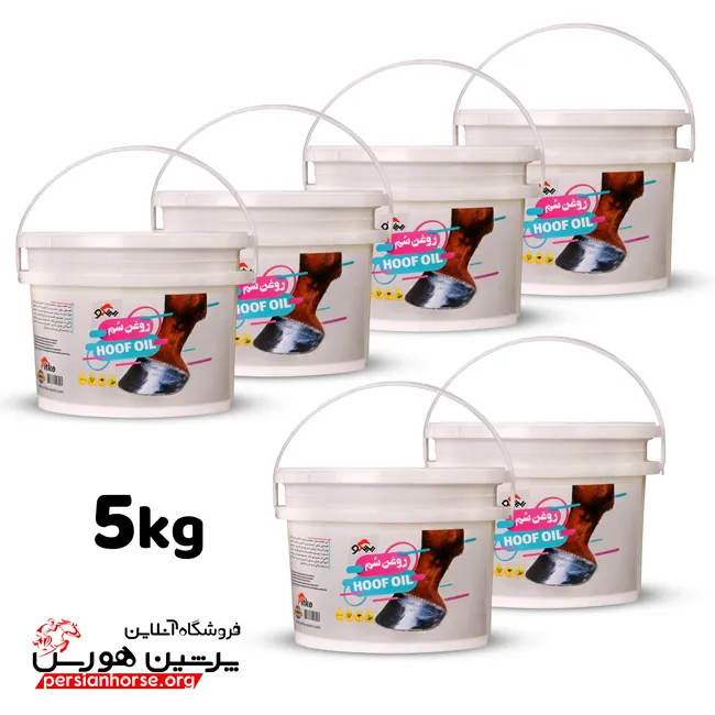 روغن سم پنج کیلویی ۶ عددی