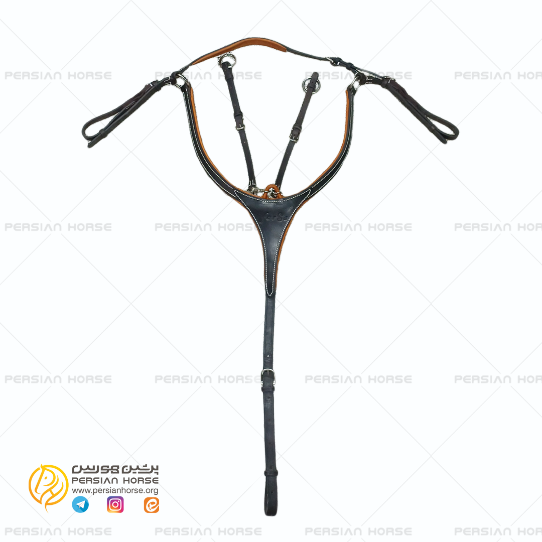 سینه بند تعلیمی چرم فرسا