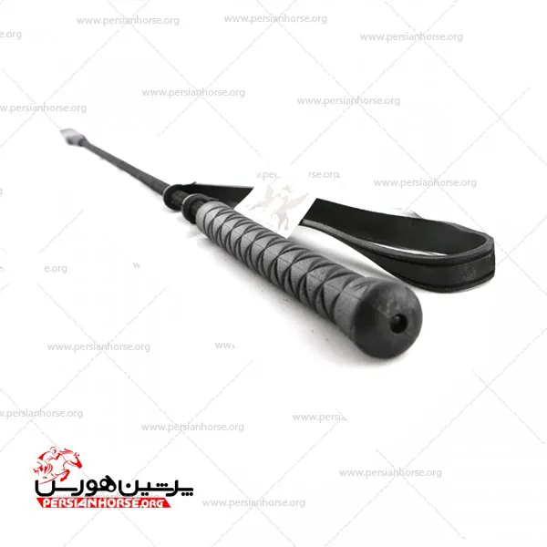 شلاق-وینگ