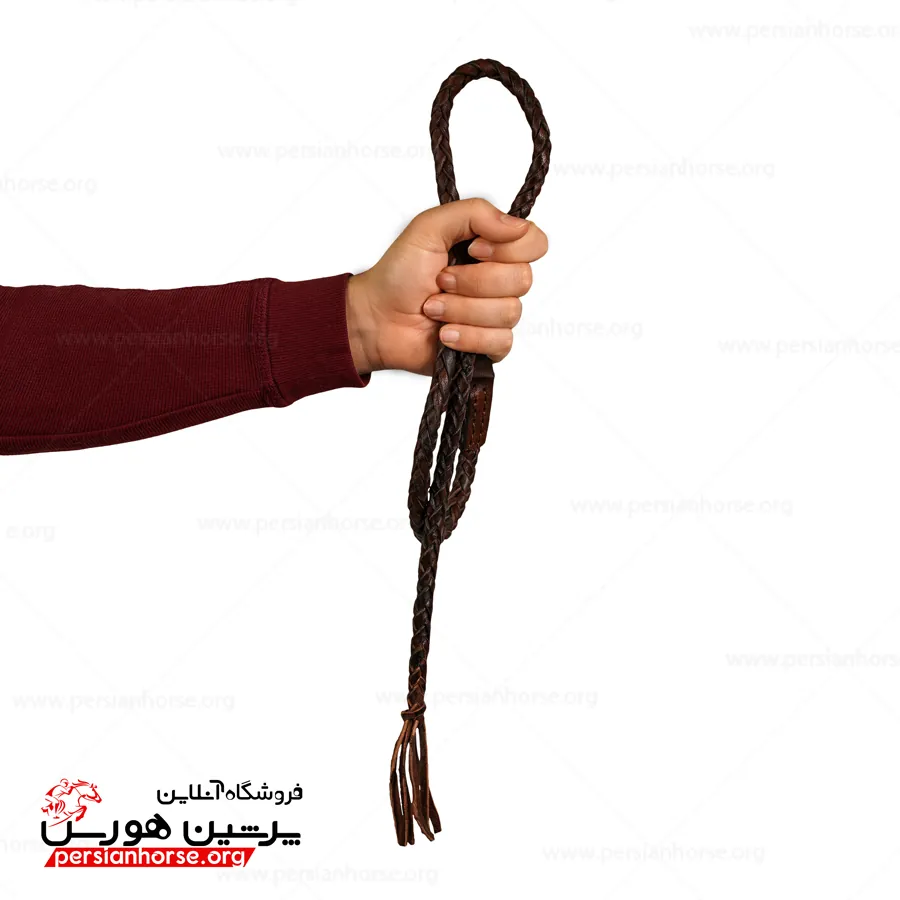 شلاق2