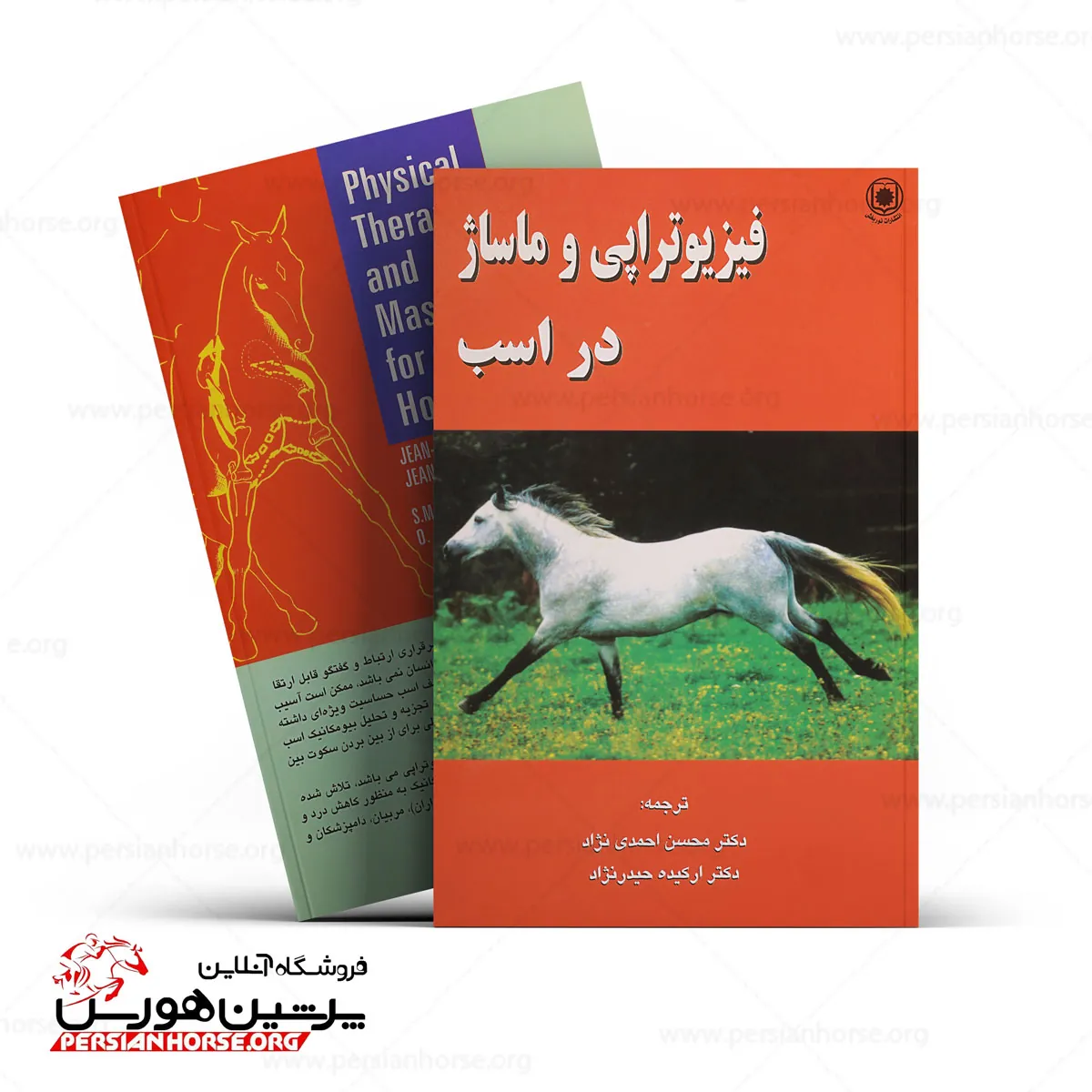 فیزیوتراپی-و-ماساژ-در-اسب+