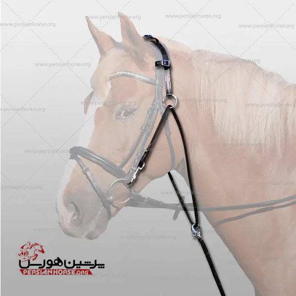 ست کامل اصلاح یال و دم اسب