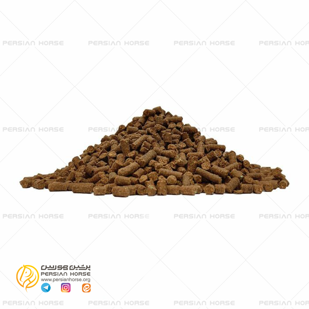 مکمل عضله ساز اسپیدکس رایمون