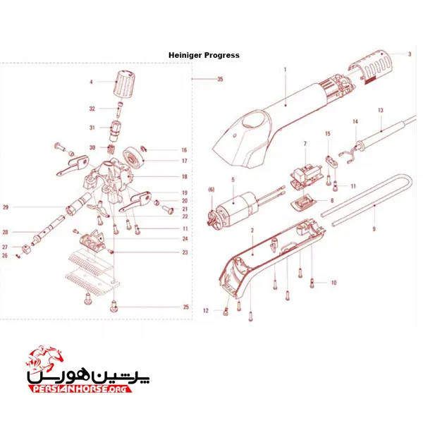 موزر-بدن-اسب-3
