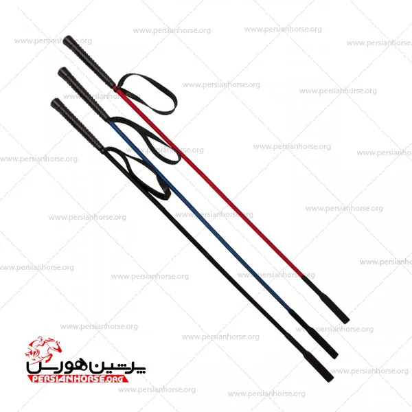 پارس2
