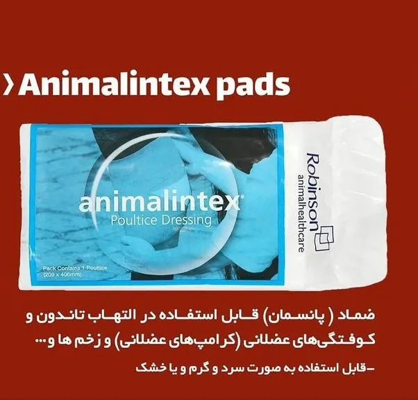 پانسمان ضماد تاندون اسب Animalintex