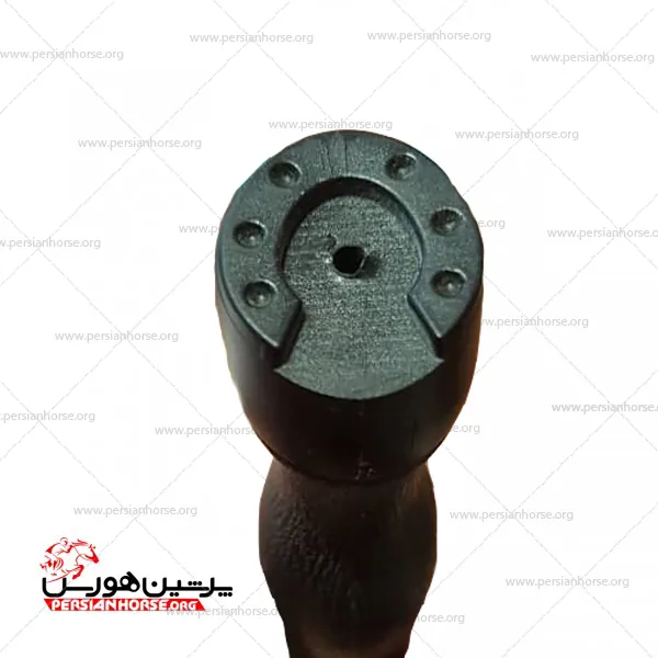 کف-شلاق-سم-اسبی