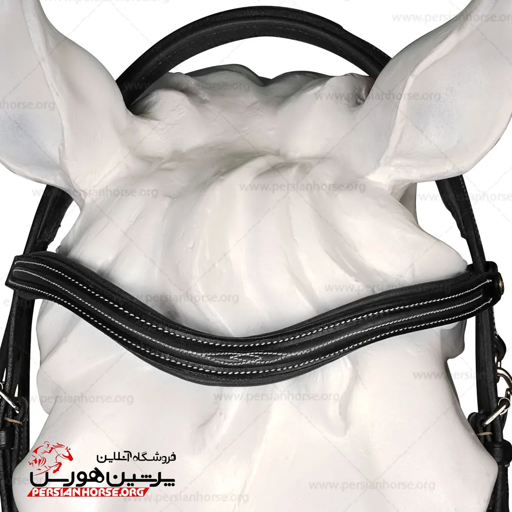 کلگی فوگانزا (3)