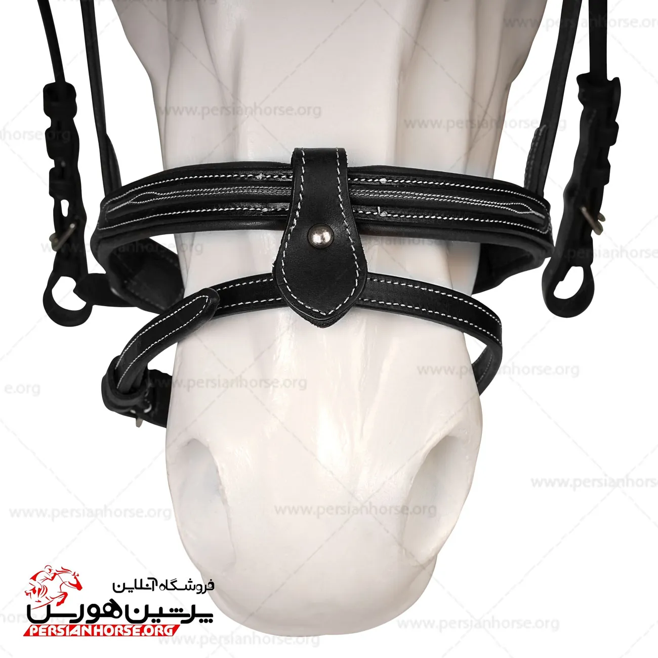 کلگی فوگانزا (5)