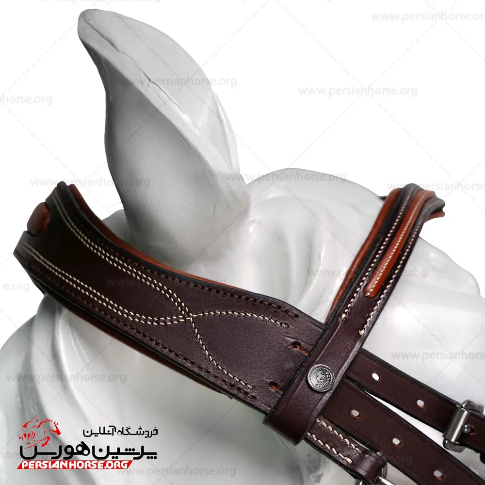 کلگی فوگانزا (6)