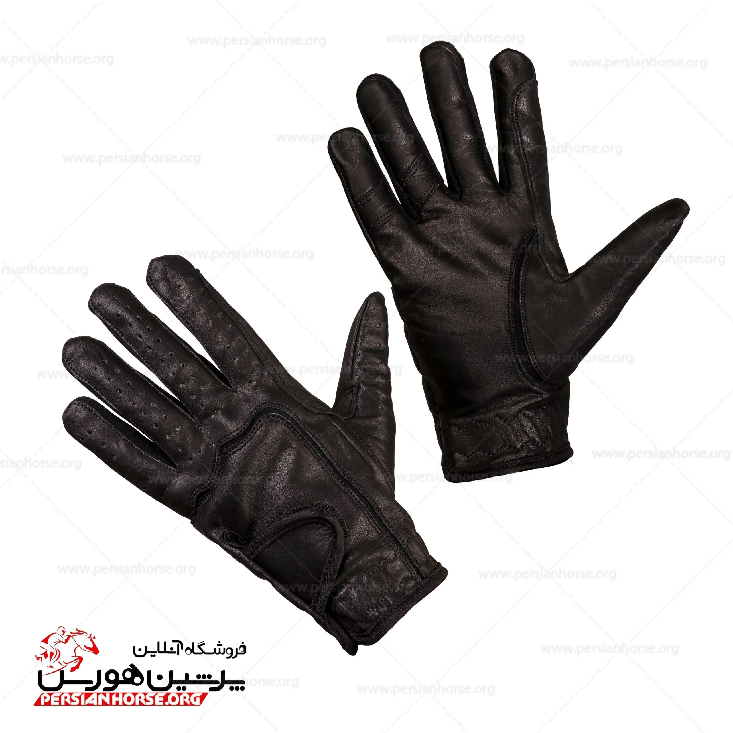 شانه یال و دم cavalier
