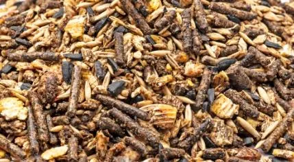 خوراک تخصصی ریس ایکس ویژه ورزشی و کورس