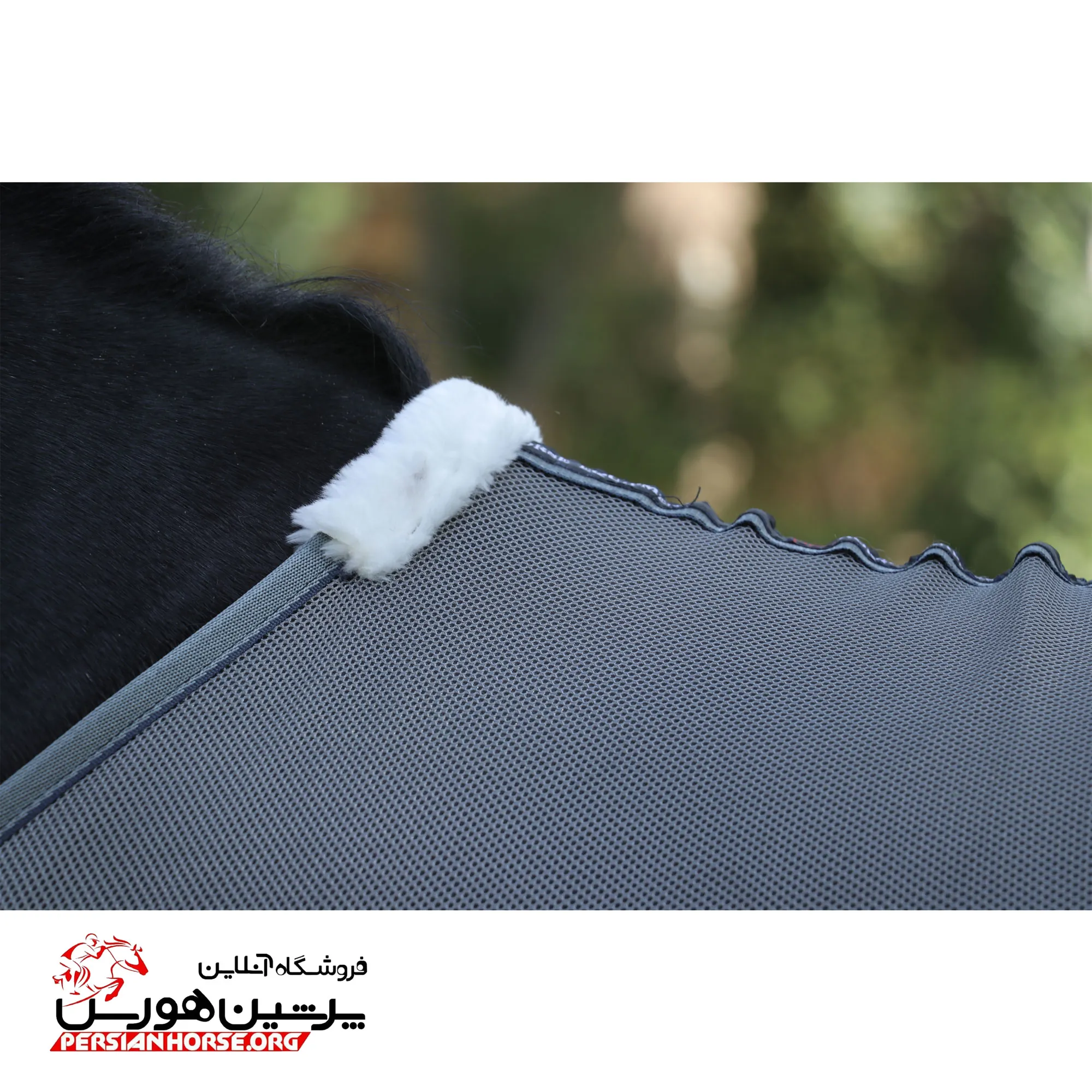 جل توری اسب پیتکو