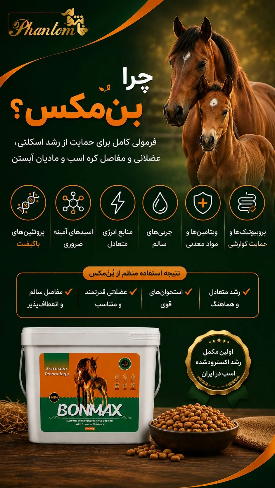 ChatGPT Image Sep 2, 2026, 11_22_33 AM.png