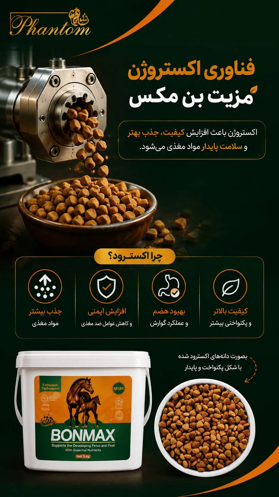 ChatGPT Image Sep 2, 2026, 11_52_58 AM.png