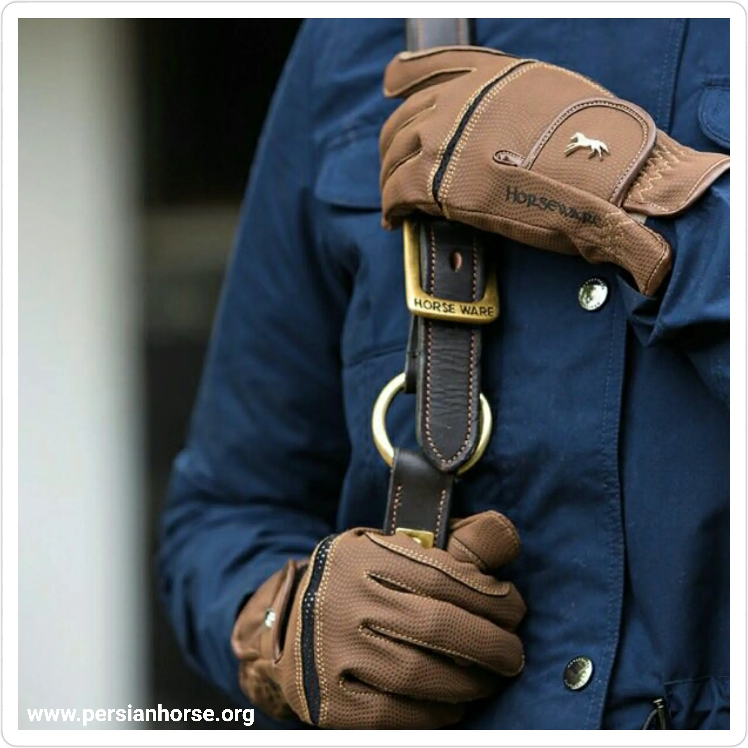 دستکش Horseware