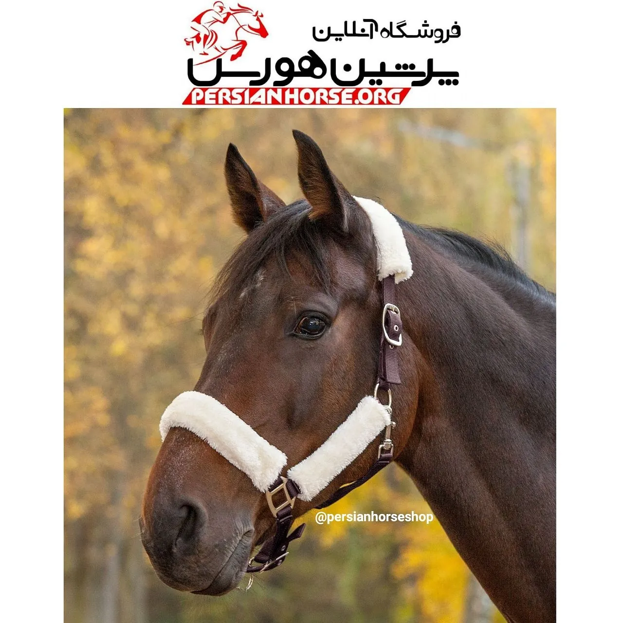 پااخور خزدار والدهازن