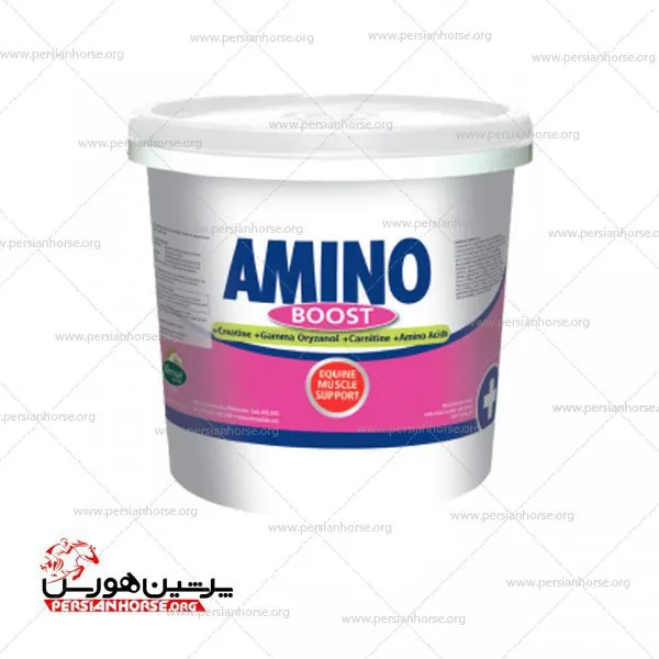 Amino Boost
