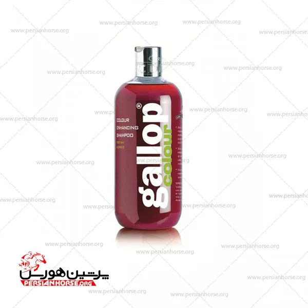bay-color-shampoo