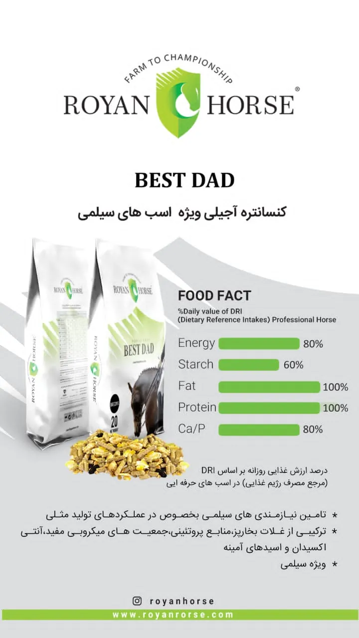 best dad