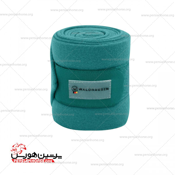 کتاب صد و یک تمرین درساژ