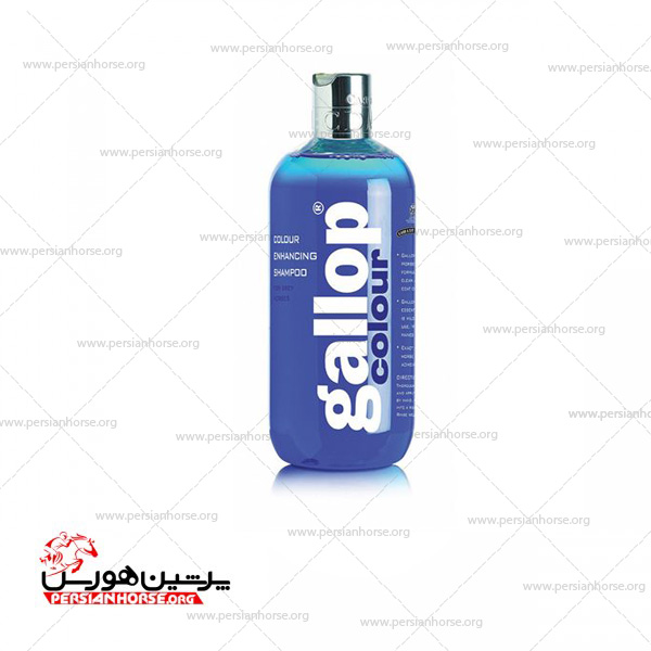 grey-color-shampo