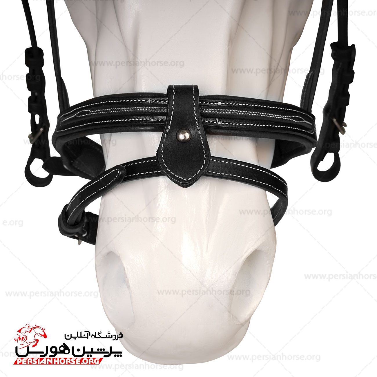 کلگی فوگانزا (5)