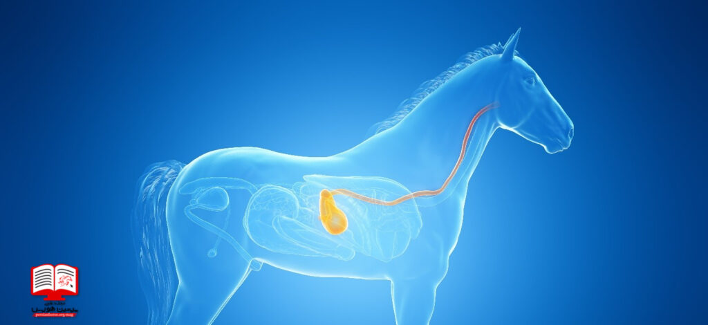 بیماریهای دستگاه گوارشی اسببیماریهای دستگاه گوارشی اسب