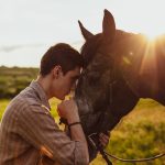 مجموعه نکات مهم در مورد مراقبت از اسب