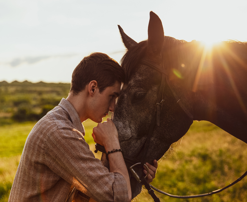 مجموعه نکات مهم در مورد مراقبت از اسب