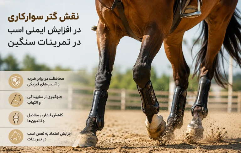 نقش گتر سوارکاری در افزایش ایمنی اسب در تمرینات سنگین